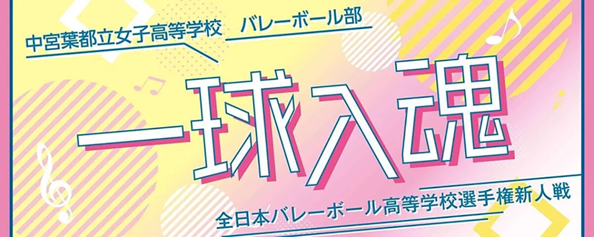 フェイスプラン